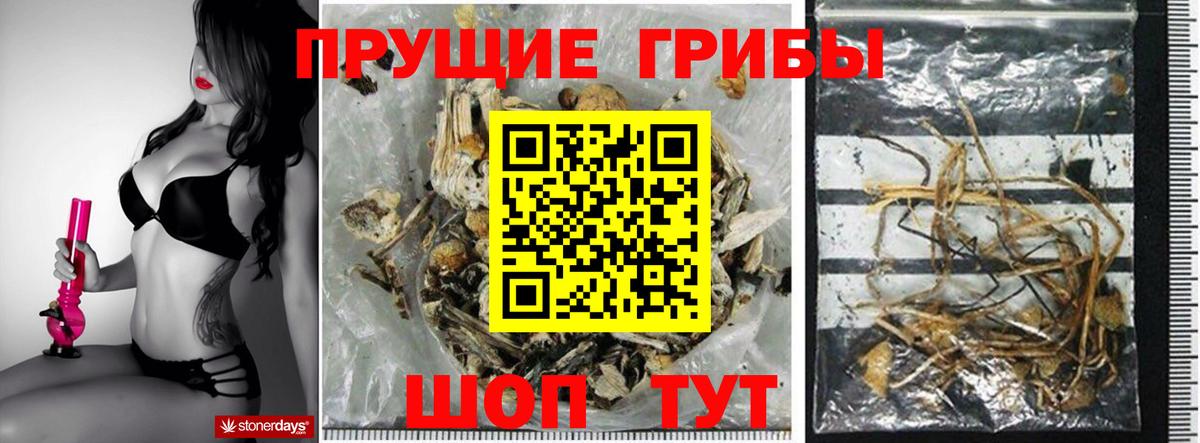 Галлюциногенные грибы прущие грибы  купить  сайты  Псилоцибиновые грибы Psilocybine cubensis  Брянск  Вход с VPN 