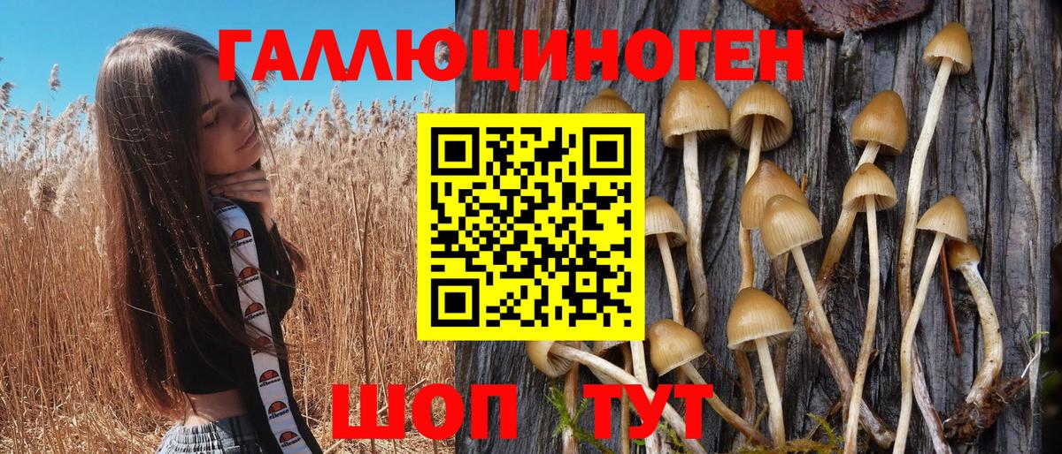Галлюциногенные грибы Cubensis Брянск